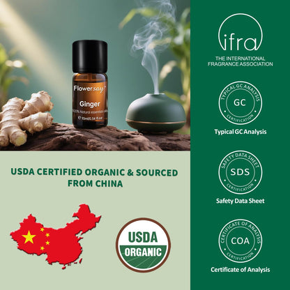 Organic Ginger Essential Oil 10ml – USDA Certified, 100% Pure