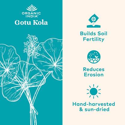 Organic India Gotu Kola - Centella Asiatica | Brain Support, 90 Caps