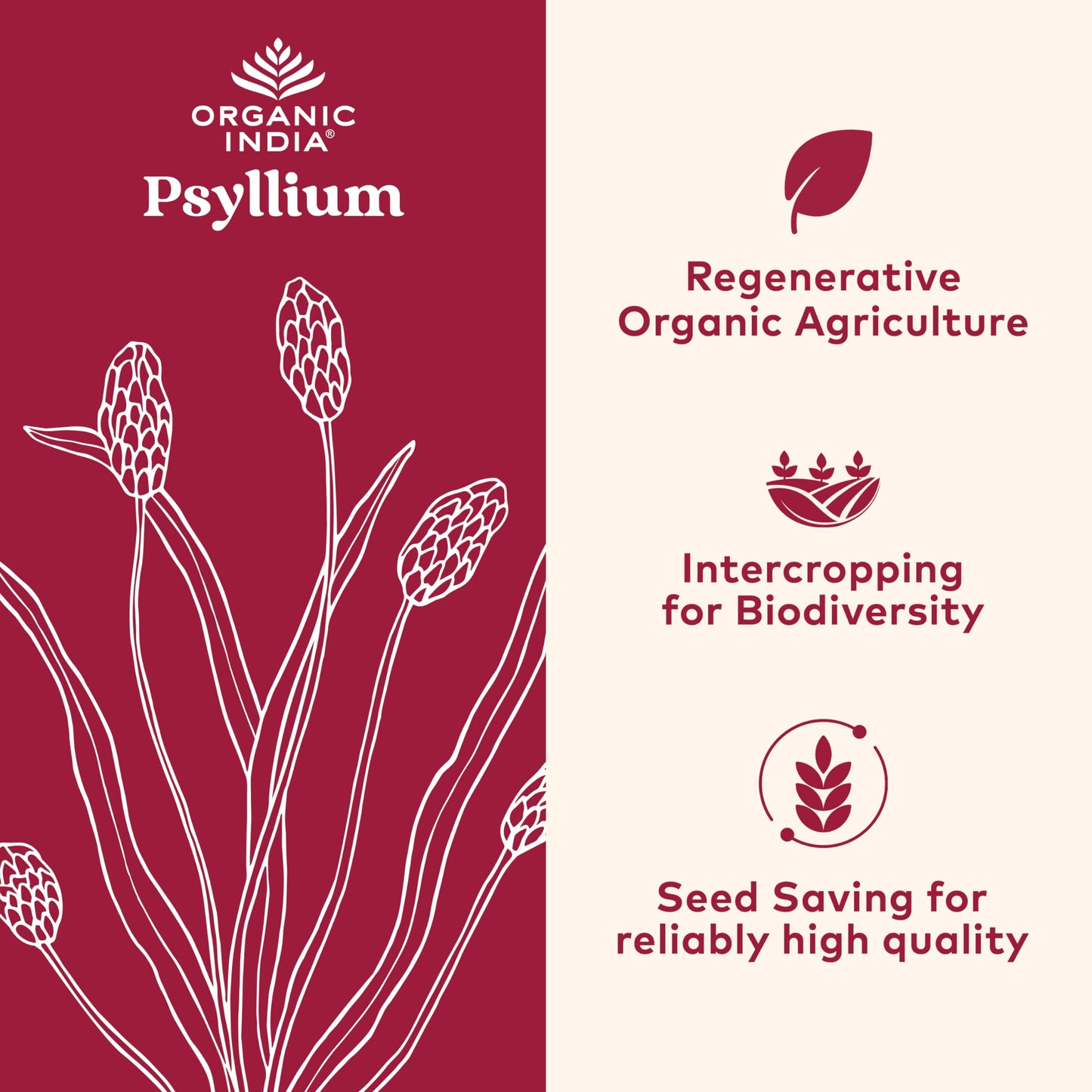 Organic India Psyllium Husk Powder - Whole Fiber, Digestion Support (12 oz x2)