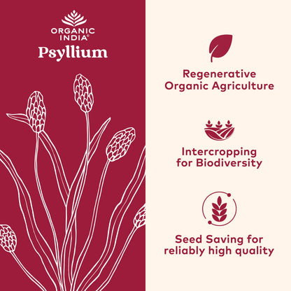 Organic India Psyllium Husk Powder - Whole Fiber, Digestion Support (12 oz x2)