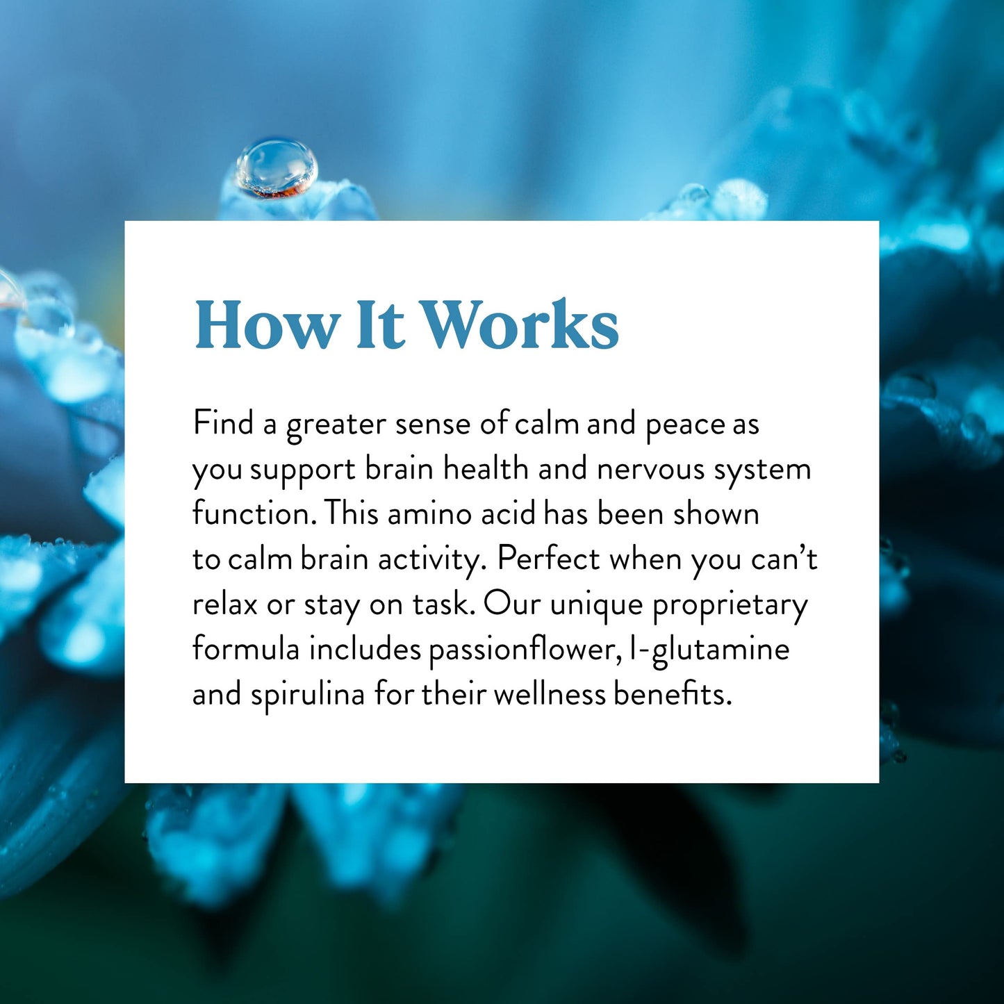 Nature's Sunshine GABA Plus - 60 Capsules | Kosher Brain Health & Nervous System Support