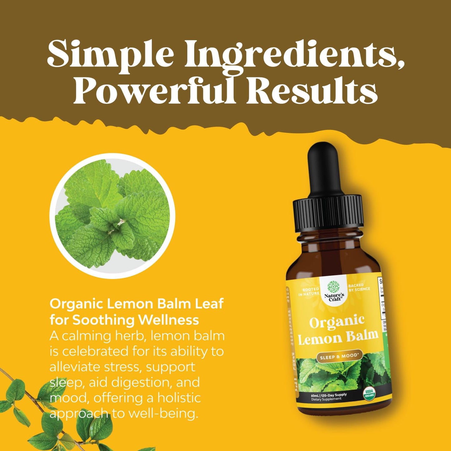 Organic Lemon Balm Leaf Liquid Extract for Immune Support - Lemon Balm Tincture for Mood & Relaxation Support - Organic Tincture Leaf Drops for Adults & Kids Dietary Supplement - 2OZ - 120 Day Supply
