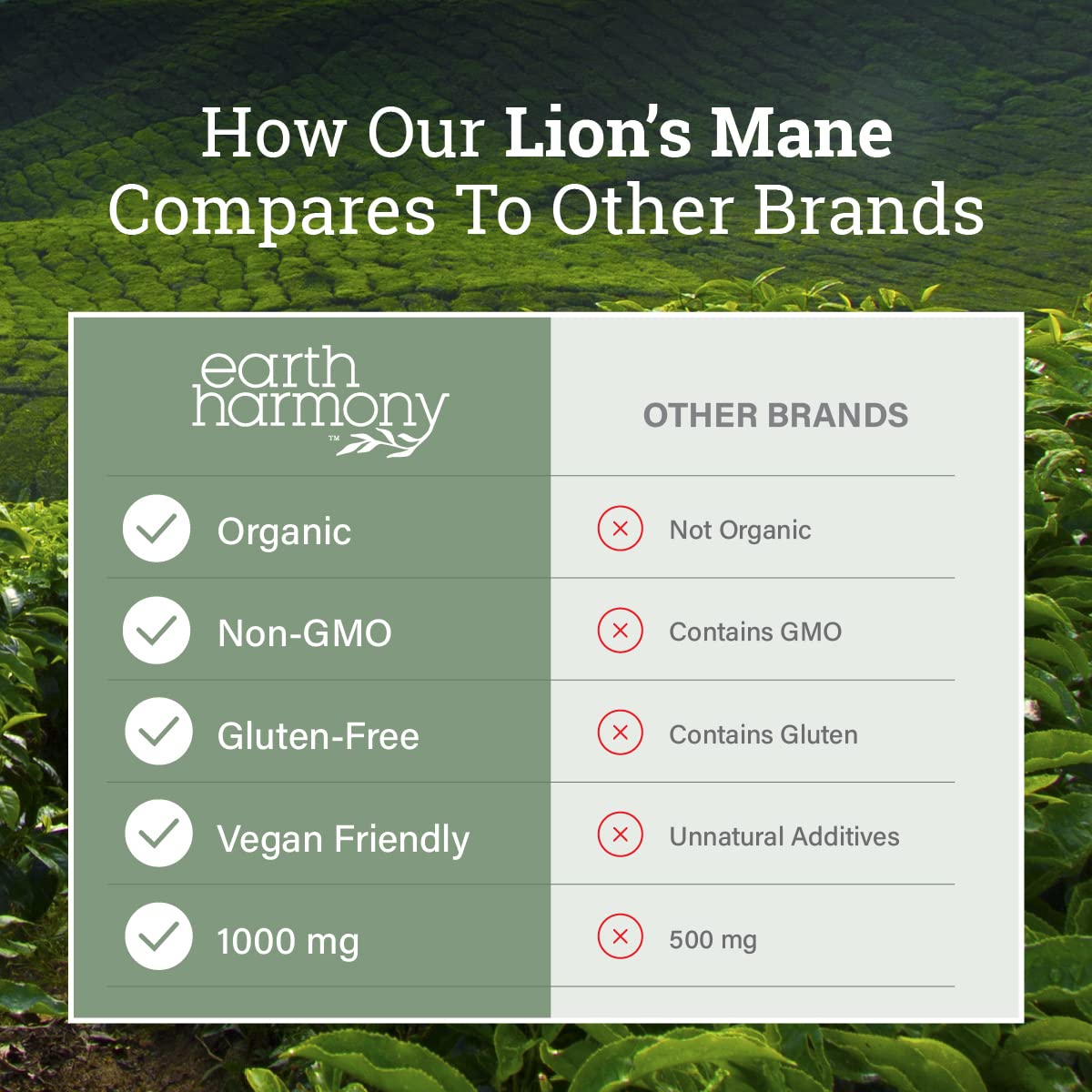 Earth Harmony Naturals Organic Lions Mane Supplement (1000mg) - 120 Capsules, 2-Month Supply