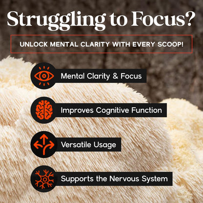 Organic Lion’s Mane Mushroom Powder – Focus & Memory Support (2.12oz)