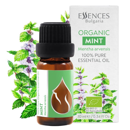 Organic Mint Essential Oil 1/3 Oz (10ml) Mentha arvensis – 100% Pure & Undiluted Aromatherapy