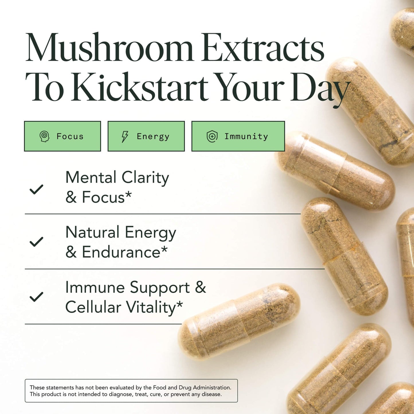 Mushroom Supplement with Lions Mane, Chaga & Cordyceps – USDA Organic, Vegan, 120 Caps (2-Month Supply)