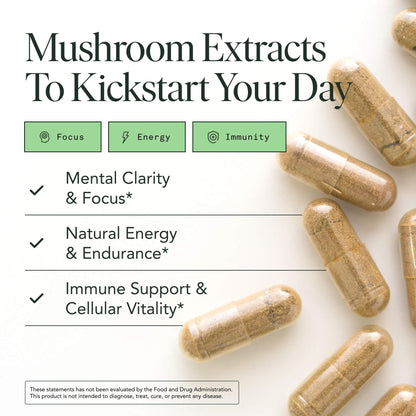 Mushroom Supplement with Lions Mane, Chaga & Cordyceps – USDA Organic, Vegan, 120 Caps (2-Month Supply)
