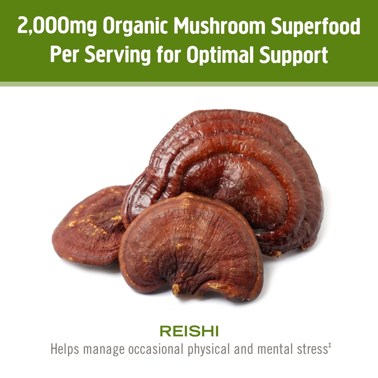 Om Mushroom Reishi Organic Powder – 100 Servings, Stress Relief & Immune Support