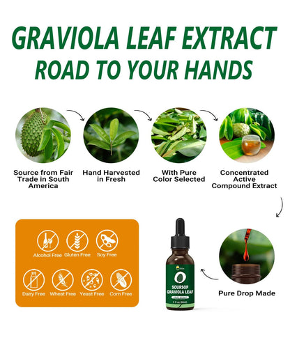 Organic Soursop Graviola Leaf Extract Liquid Drops | Soursop Bitters Liquid | High Absorption, Enhanced Bioavailability | Vegan, Non-GMO, Gluten Free | Immune Support | 2 Fl Oz
