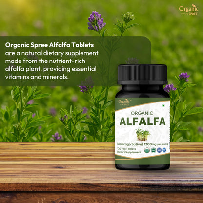 Organic Spree Alfalfa 120 Tablets | Medicago Sativa | USDA Organic | Pack of 3