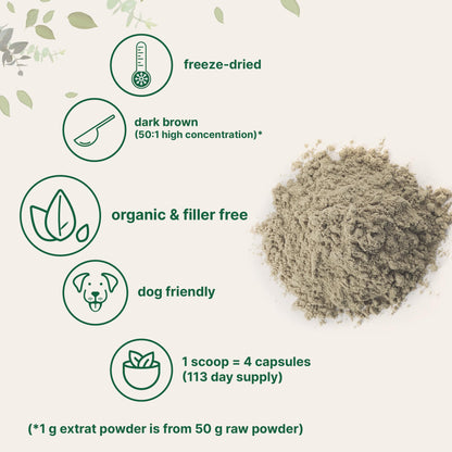 Turkey Tail Mushroom Powder 50:1 Extract - 8 oz Organic Freeze-Dried | Immune Support & Cellular Health (Pet Friendly)