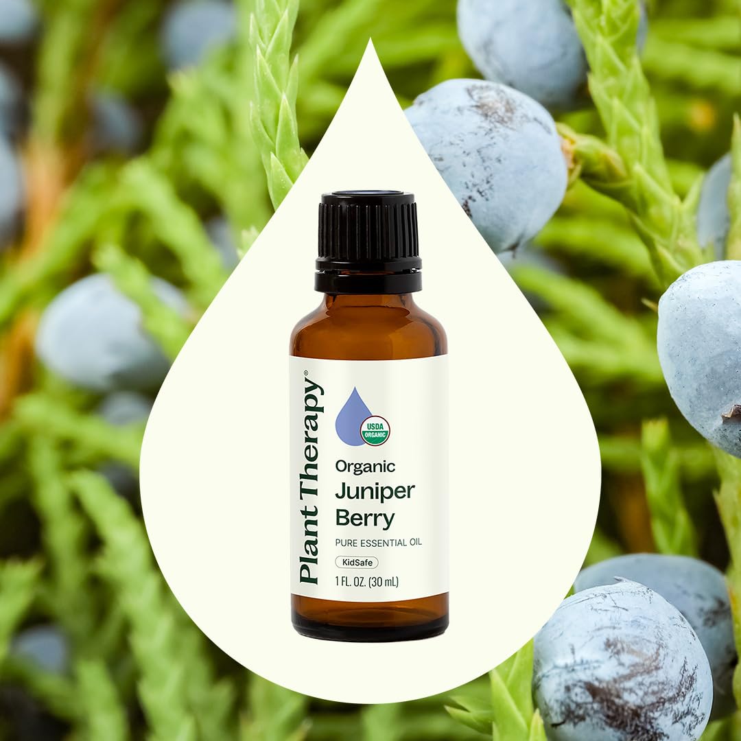 Plant Therapy Organic Juniper Berry Essential Oil 10 mL | 100% Pure & Therapeutic Grade