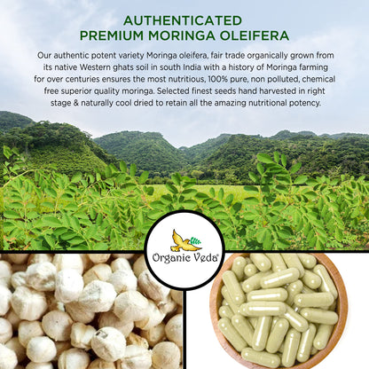 Organic Veda Moringa Seed Capsules – 1000 mg Moringa Seed Powder & Oil, 120 ct