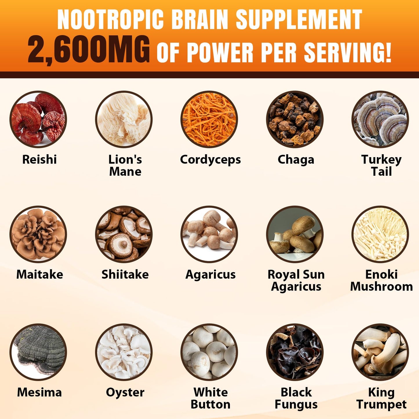 20-in-1 Mushroom Complex for Brain & Focus | Lion's Mane & Reishi