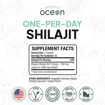 Organics Ocean One-Per-Day Shilajit Capsules – Premium Himalayan Shilajit (6 Bottles)