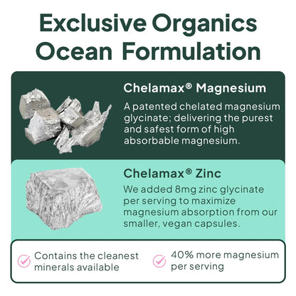 Organics Ocean Magnesium Glycinate with Zinc - Maximum Strength Chelated Magnesium for Sleep & Muscle Cramps - 2 Bottles
