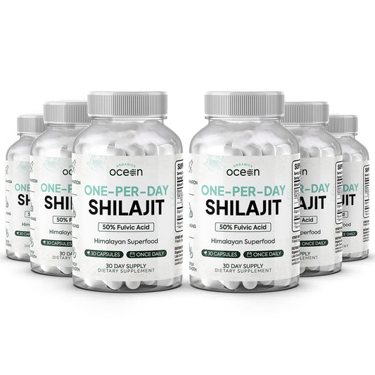 Organics Ocean One-Per-Day Shilajit Capsules – Premium Himalayan Shilajit (6 Bottles)