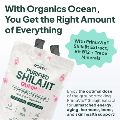 Organics Ocean Shilajit Gummies – Pumpkin Cocoa, 60 Gummies