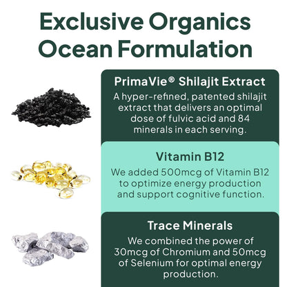 Organics Ocean Shilajit Gummies – Pumpkin Cocoa, 60 Gummies