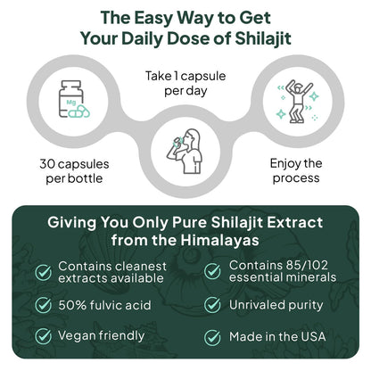 Organics Ocean One-Per-Day Shilajit Capsules – Premium Himalayan Shilajit (6 Bottles)