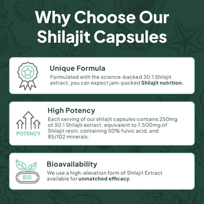 Organics Ocean One-Per-Day Shilajit Capsules – Premium Himalayan Shilajit (6 Bottles)