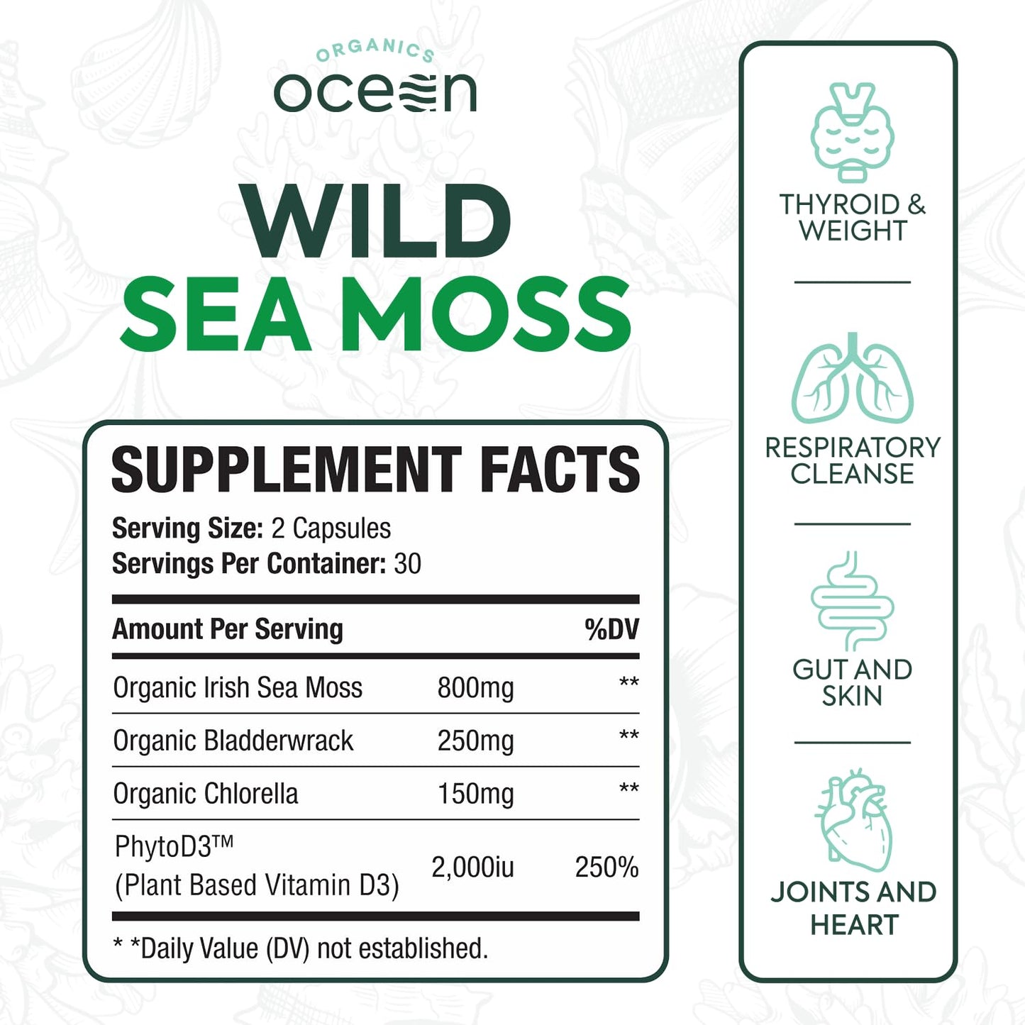 Organics Ocean Wild Sea Moss Capsules – Organic Irish Sea Moss, Chlorella, Bladderwrack & Vitamin D3 (3 Bottles)