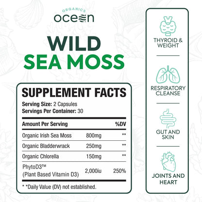 Organics Ocean Wild Sea Moss Capsules – Organic Irish Sea Moss, Chlorella, Bladderwrack & Vitamin D3 (3 Bottles)