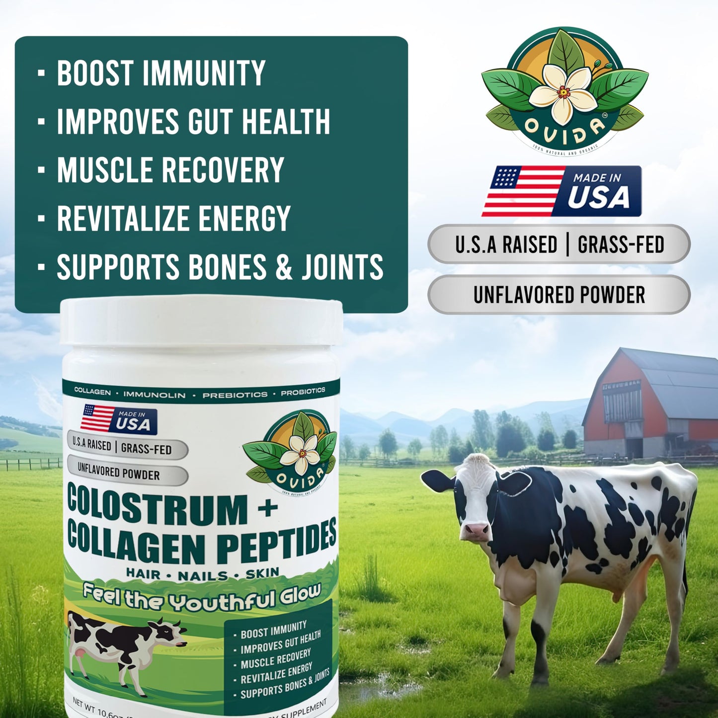 OVIDA Premium Bovine Colostrum & Collagen Peptides – Grass-Fed, Non-GMO, 300g