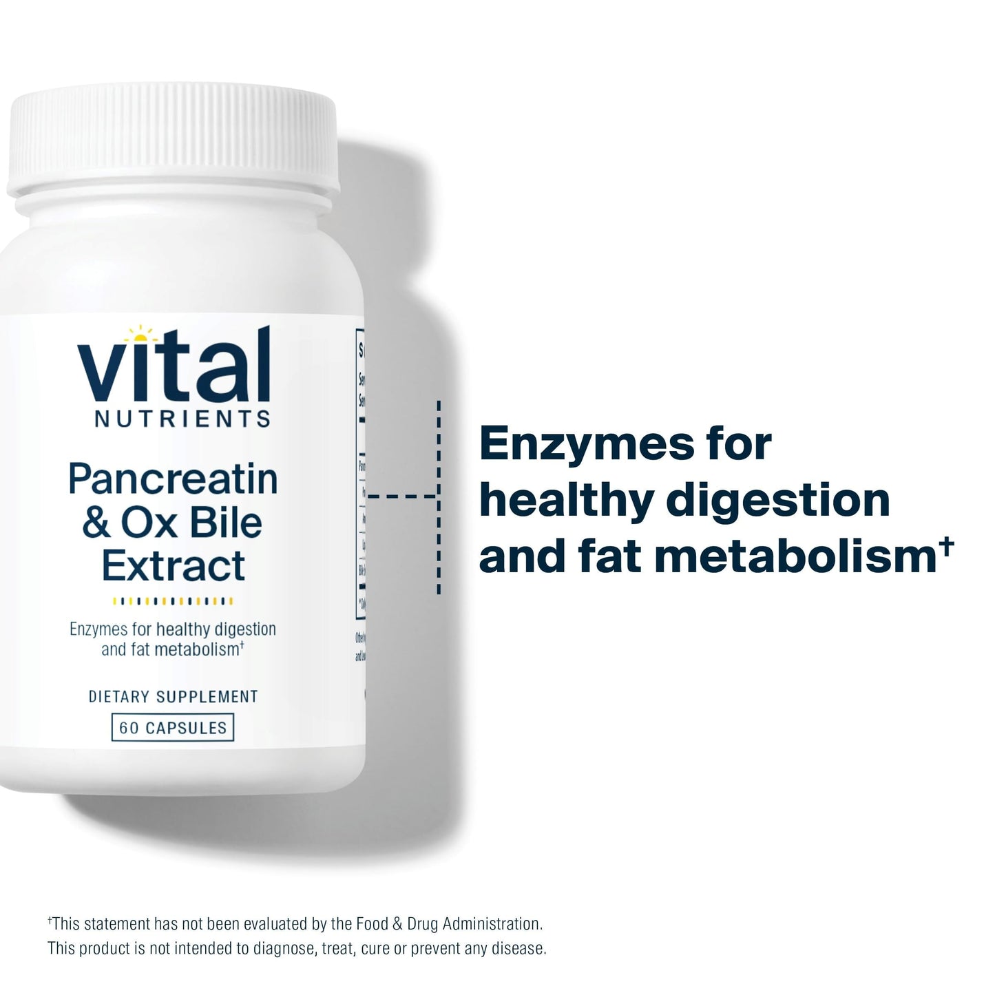 Vital Nutrients Pancreatin & Ox Bile Extract 500mg | Digestive Enzymes 60 Capsules