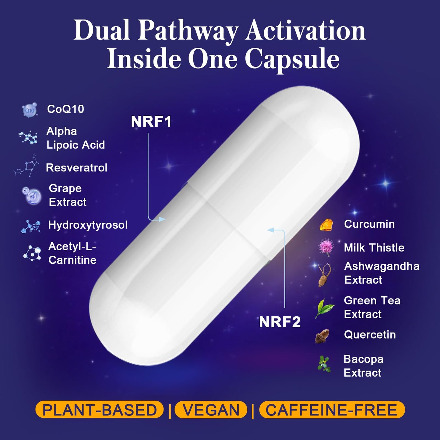 NRF1 & NRF2 Supplement 1500mg | Dual Activator with CoQ10, Curcumin, Trans-Resveratrol & Ashwagandha | 60 Capsules
