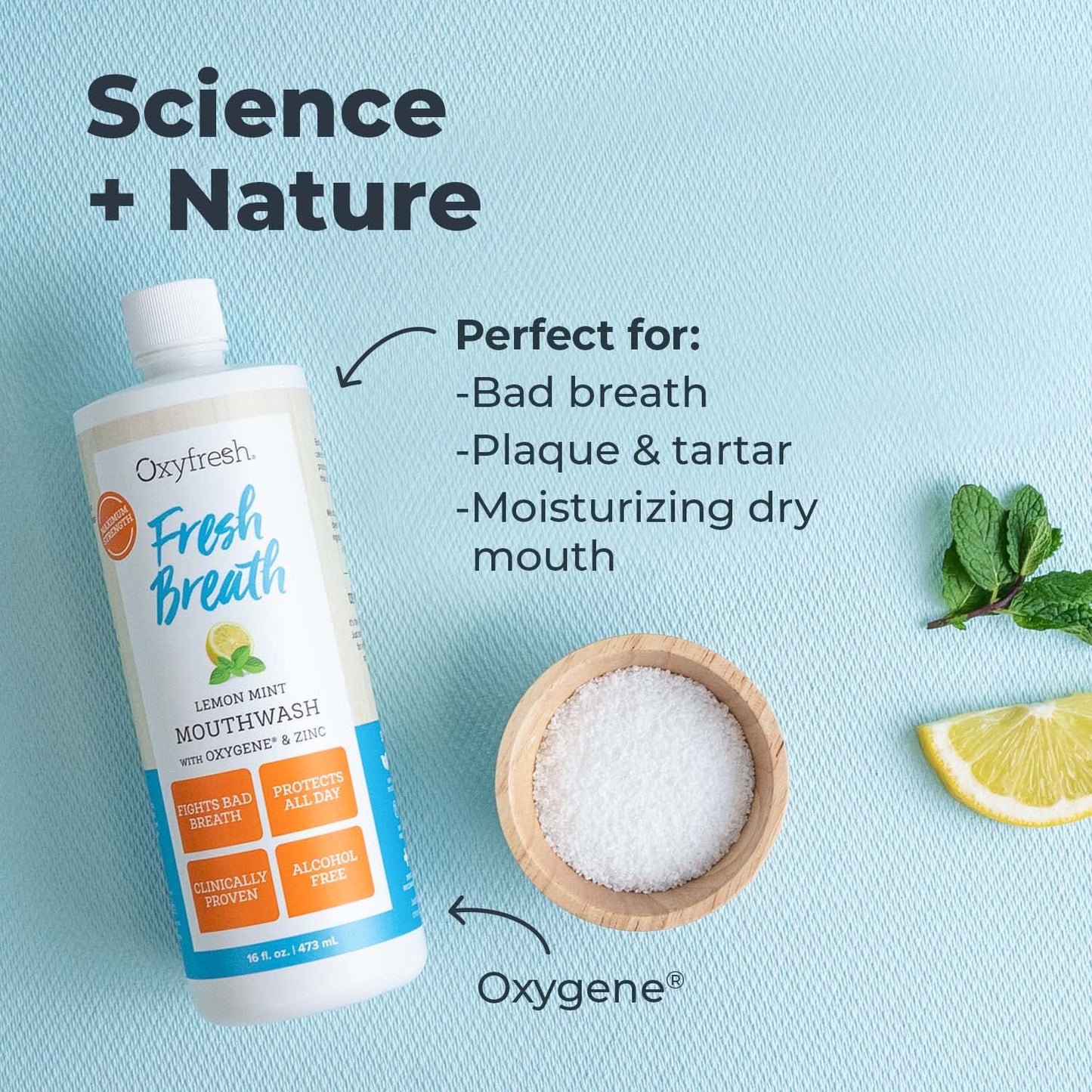 Oxyfresh Lemon Mint Fresh Breath Mouthwash – SLS & Fluoride Free, Alcohol Free – 16 Fl Oz (Pack of 3)