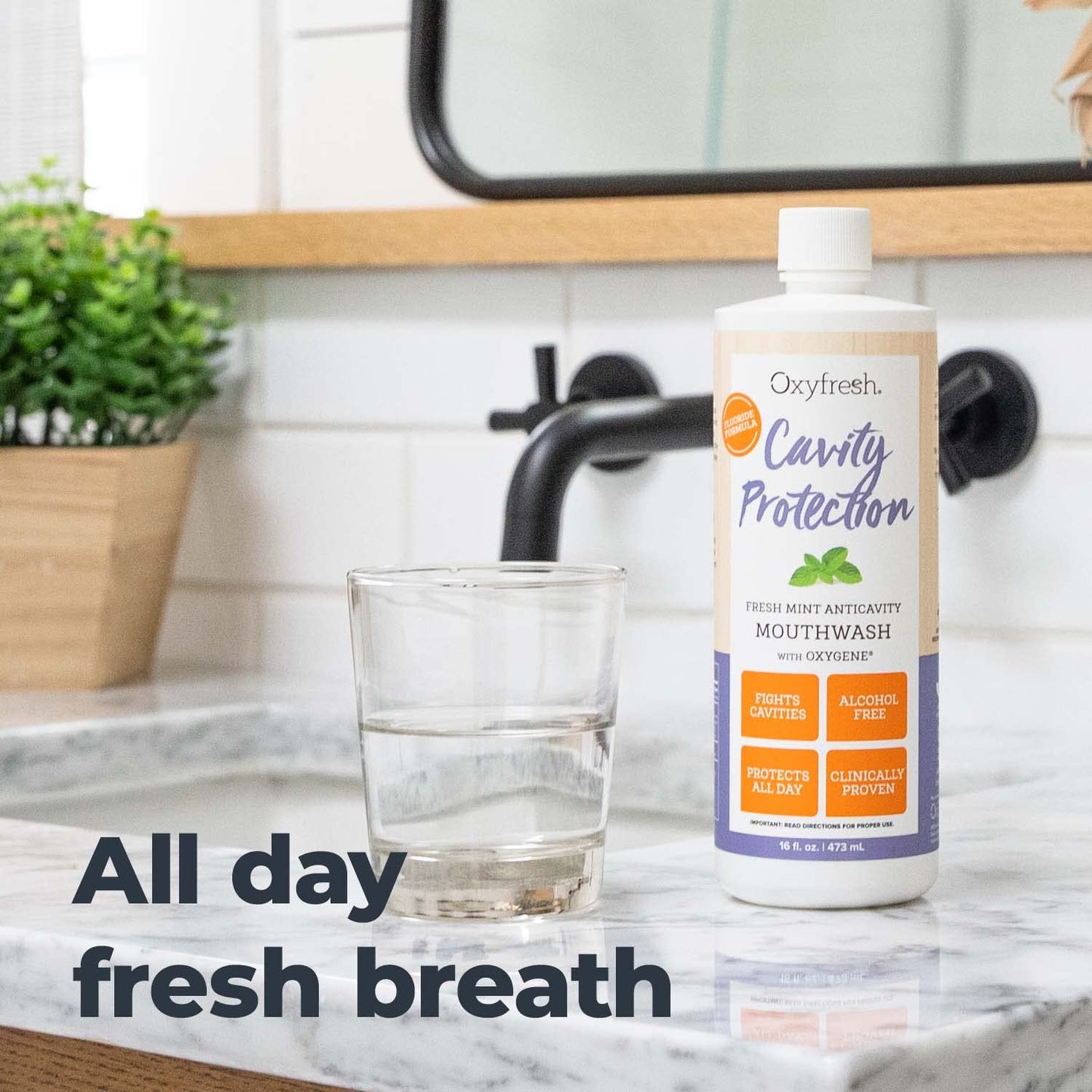 Oxyfresh Cavity Protection Fluoride Mouthwash – Non-Staining, Alcohol-Free (16 oz Pack of 2)