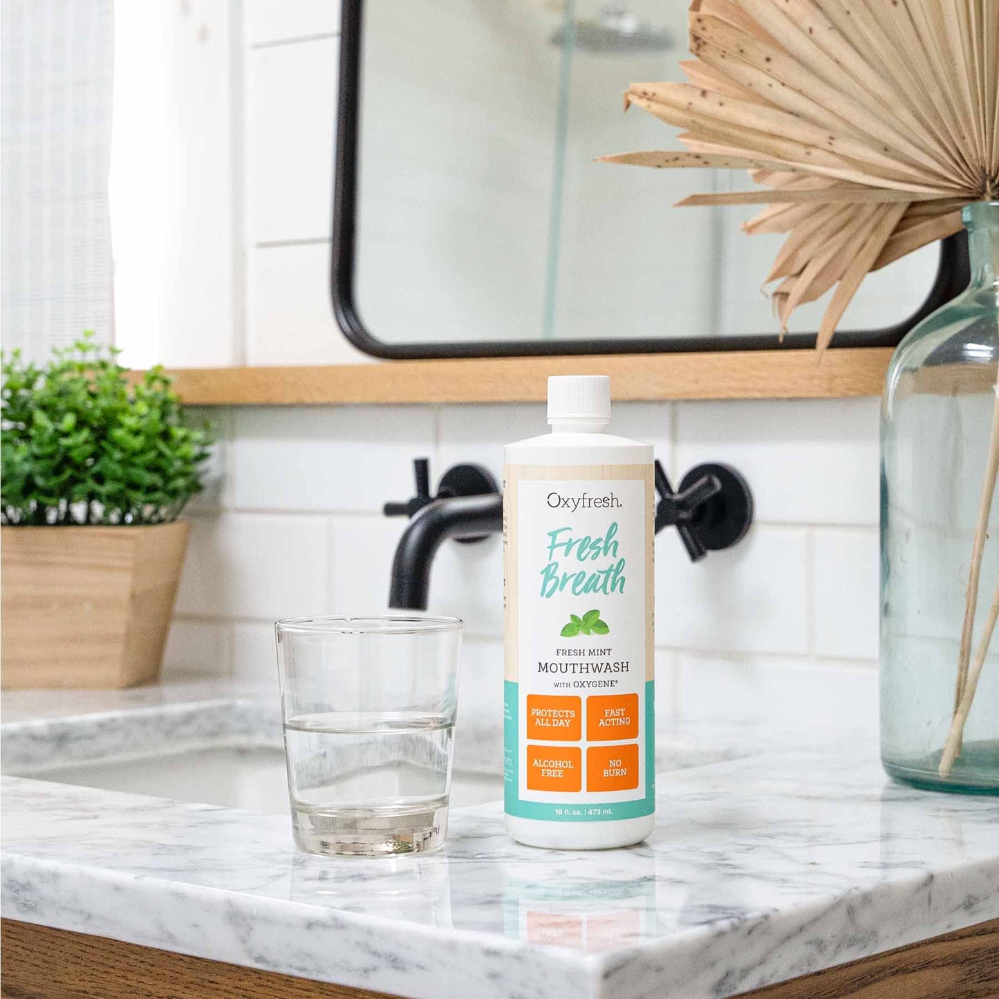 Oxyfresh Fresh Breath Mint Mouthwash – Dentist-Recommended, Alcohol-Free & Fluoride-Free (Pack of 2, 16 oz each)