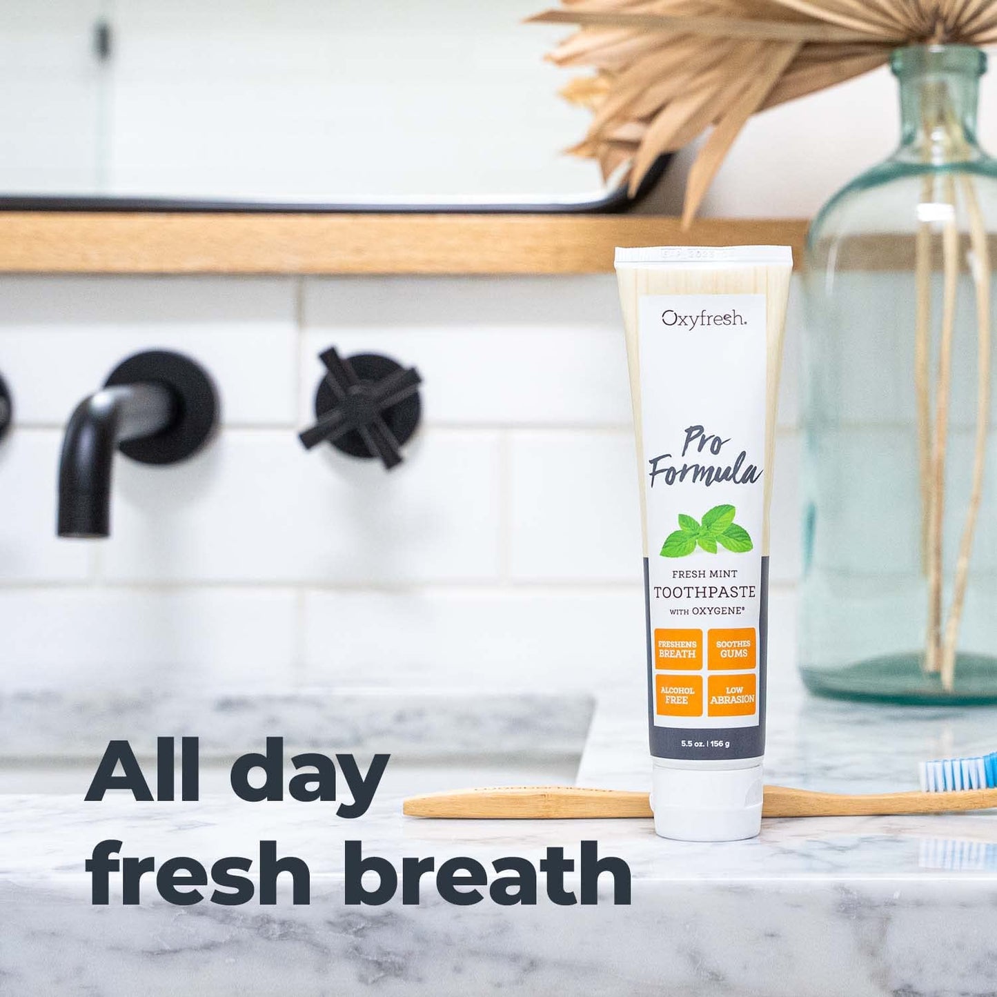 Oxyfresh Pro Formula Fresh Mint Toothpaste – Gentle Low Abrasion, Fluoride Free, 5.5 oz (Pack of 3)