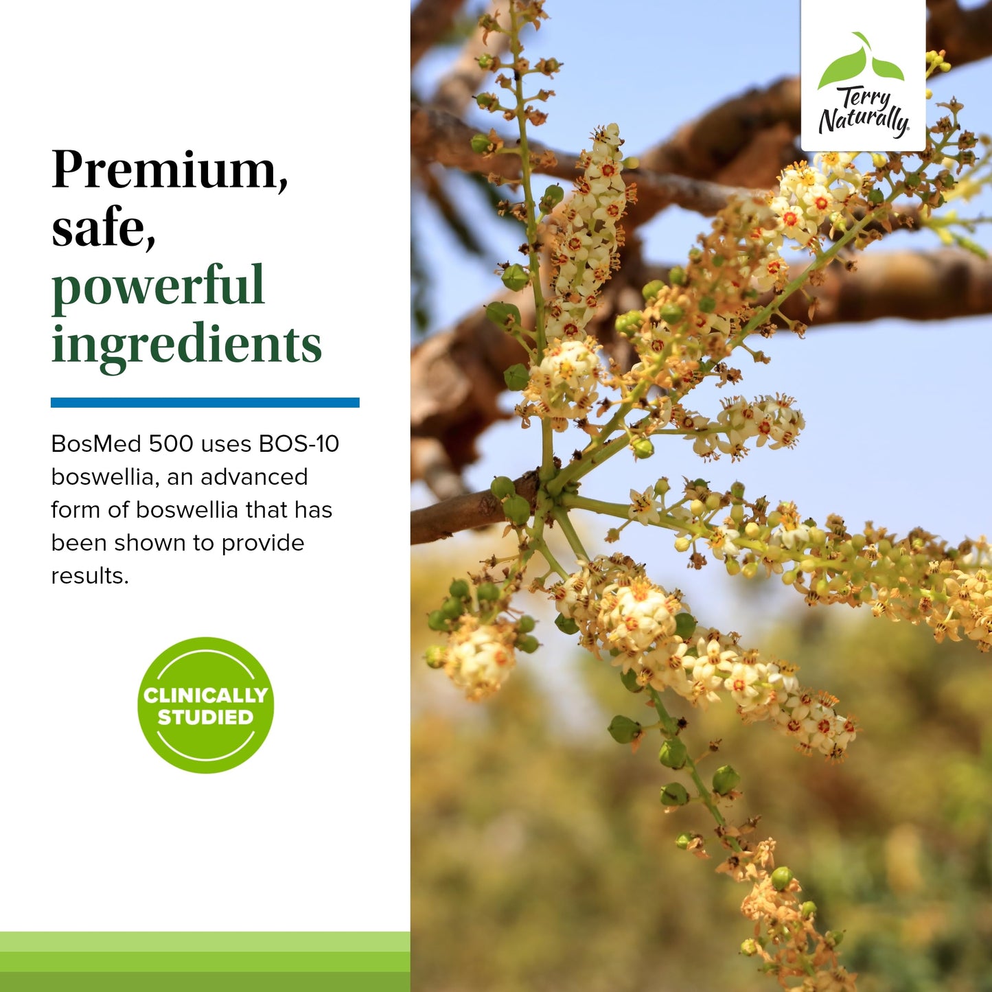 Terry Naturally BosMed 500 Extra Strength – Boswellia Serrata for Lung Support (Pack of 2)