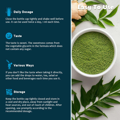 (2 Pack) Organic Moringa Leaf Extract Liquid Drops – Energy, Immune & Skin Support | 1 fl oz