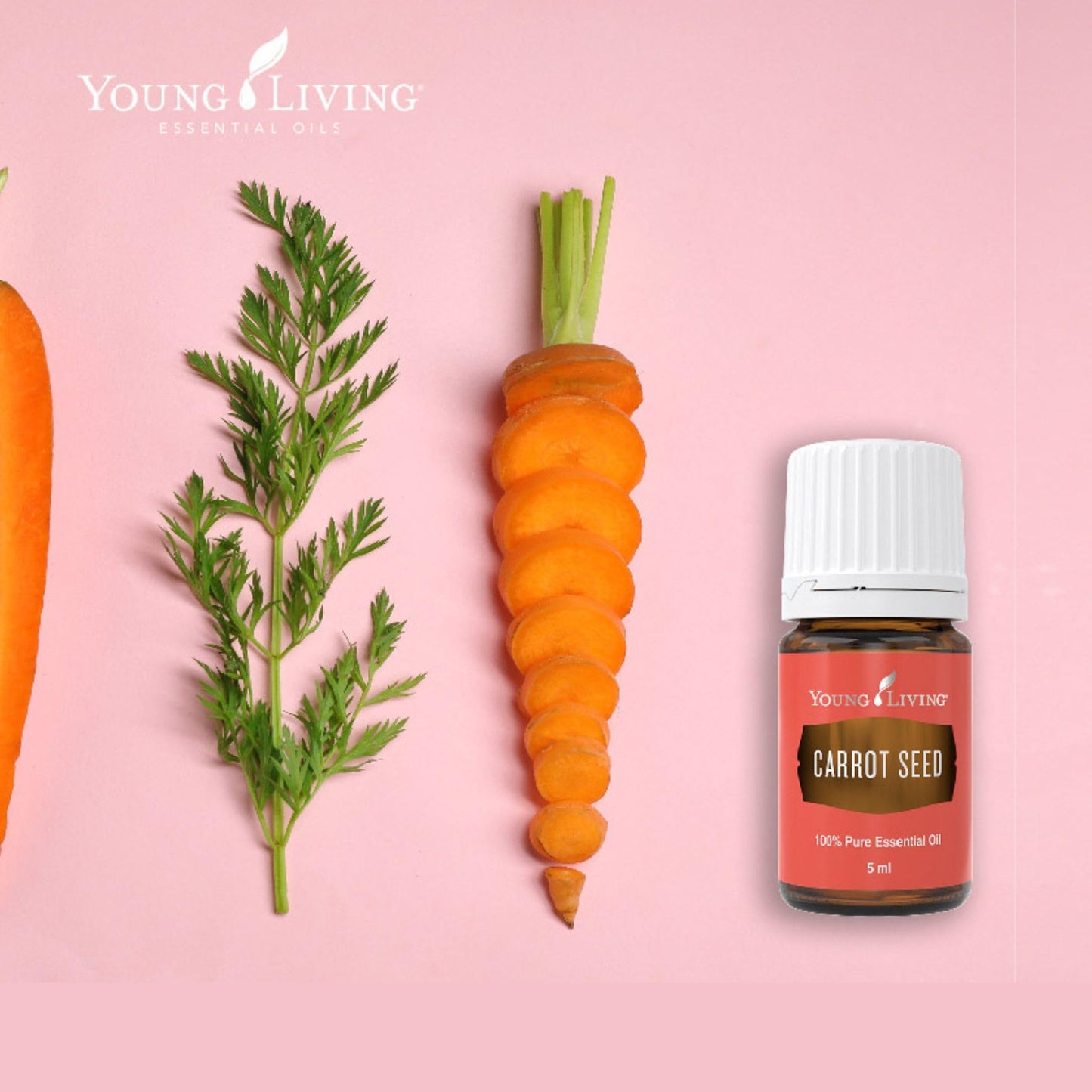 Young Living Carrot Seed Essential Oil 5 ml | Dry Skin Moisturizer, Beautifying & Skin Cleansing