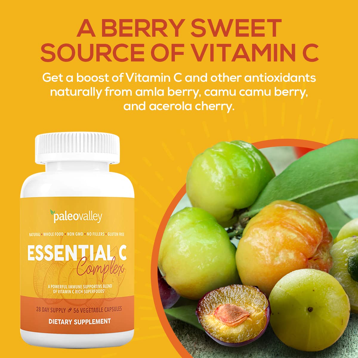 Paleovalley Essential C Complex — Organic Vitamin C for Immune Support | 3 Pack, 450 mg, USA Made