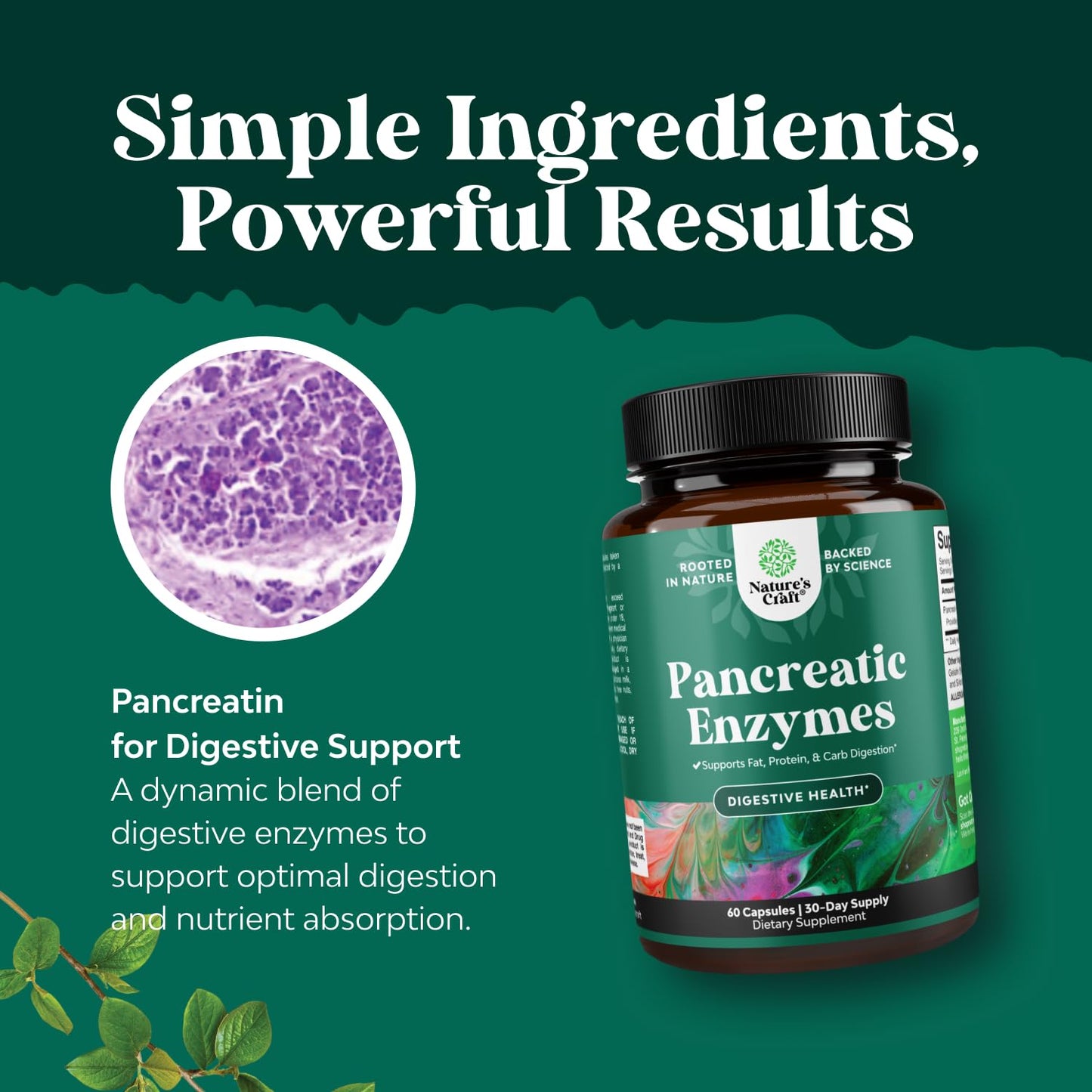 Pancreatin Digestive Enzymes for Gut Health - 60 Count (Protease, Lipase & Amylase)