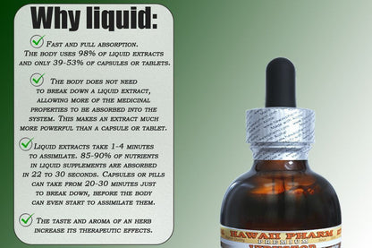 Papaya Alcohol-Free Liquid Extract – Organic Papaya Glycerite (2 fl oz) | Hawaii Pharm USA