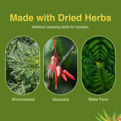 Herbs Etc. ParaFree - Gastrointestinal Support | Digestive Herbal Supplement 60 Softgels