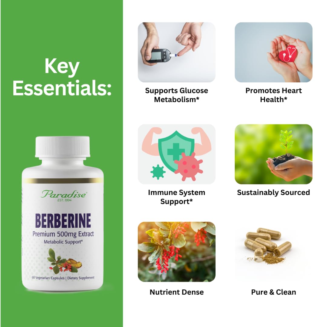 Paradise Herbs Berberine Extract 500 mg – Vegan & Gluten Free (60 capsules)