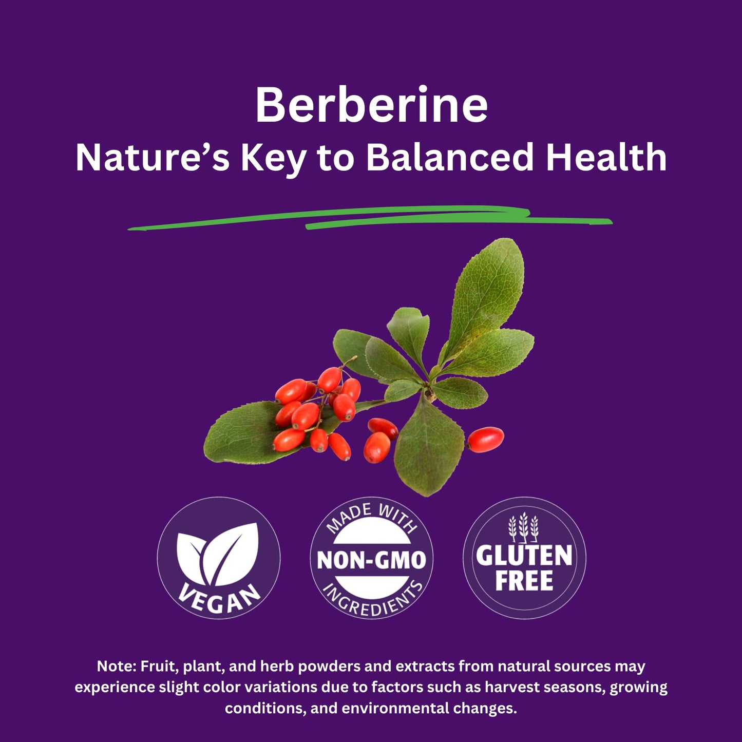 Paradise Herbs Berberine Extract 500 mg – Vegan & Gluten Free (60 capsules)