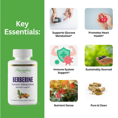 Paradise Herbs Berberine Extract 500 mg – Vegan, Non-GMO, Gluten Free | 60 Veg Capsules (Pack of 2)