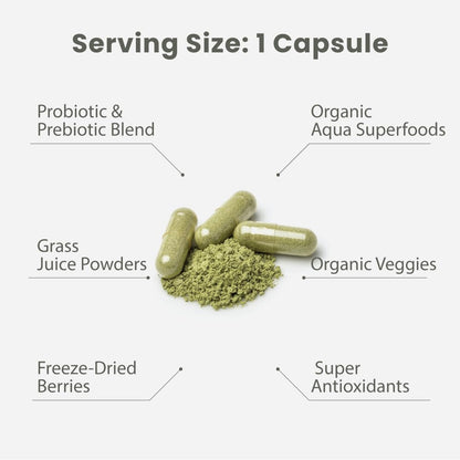 Paradise Herbs Earth's Blend Multivitamin for Men – Pack of 2