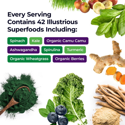 Paradise Herbs ORAC Energy Greens, Berry Superfood Powder, Over 40,000 ORAC Antioxidants, Organic Greens, Berries, Mushrooms & Probiotics, Non-GMO, Gluten-Free, 25 Servings