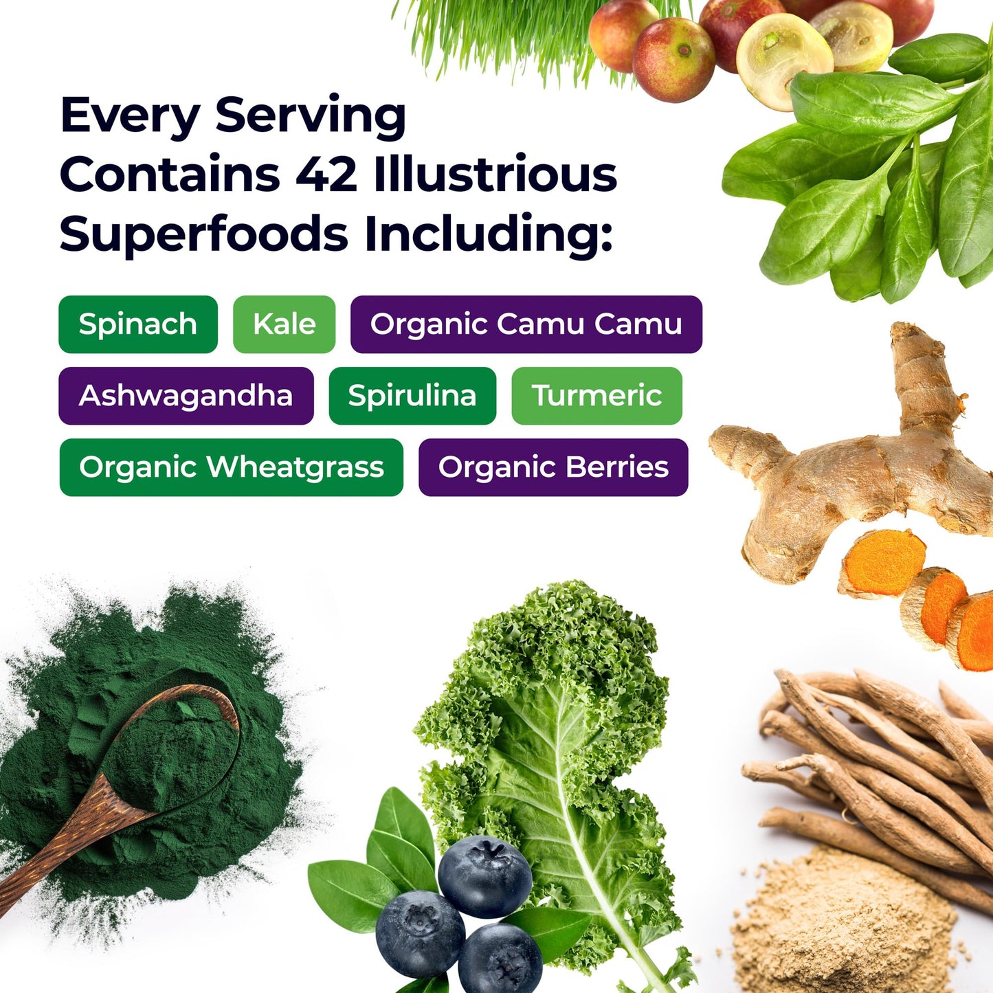 Paradise Herbs ORAC Energy Greens Powder | Antioxidant Power of 24 Fruits & Veggies per Scoop | 15 Servings