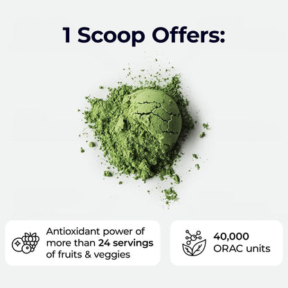 Paradise Herbs ORAC Energy Greens Powder — Antioxidant Power of 24 Fruits & Veggies in 1 Scoop | 120 Servings