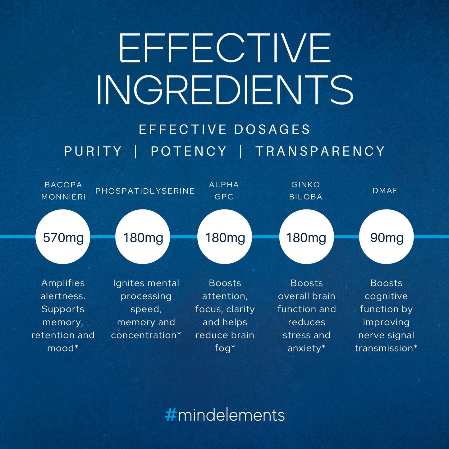 Parnatura Mind Elements Nootropic - Focus, Memory & Clarity | 60 Capsules