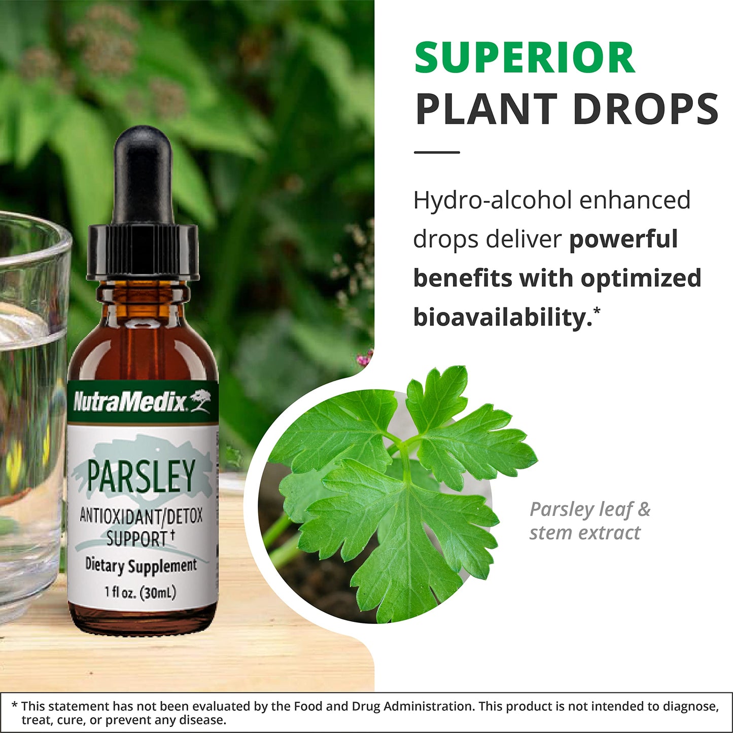 NutraMedix Parsley Herbal Supplement - Detox, Antioxidant & Immune Support (1oz / 30ml)